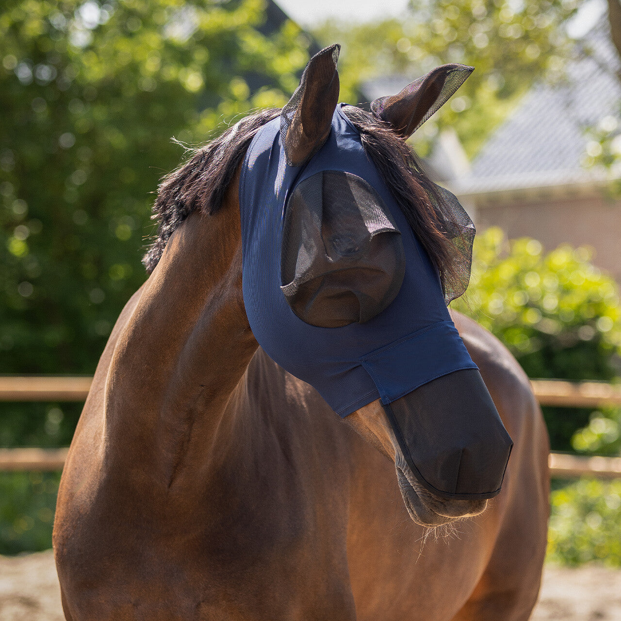 Máscara antimoscas Super bug con nose protection QHP para equitación - vista 10