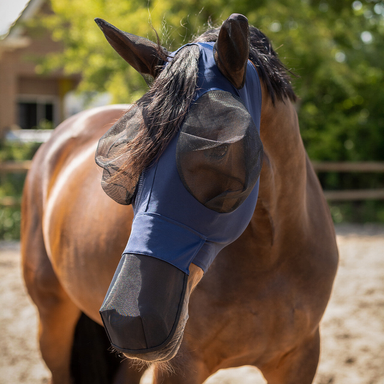 Máscara antimoscas Super bug con nose protection QHP para equitación - vista 7