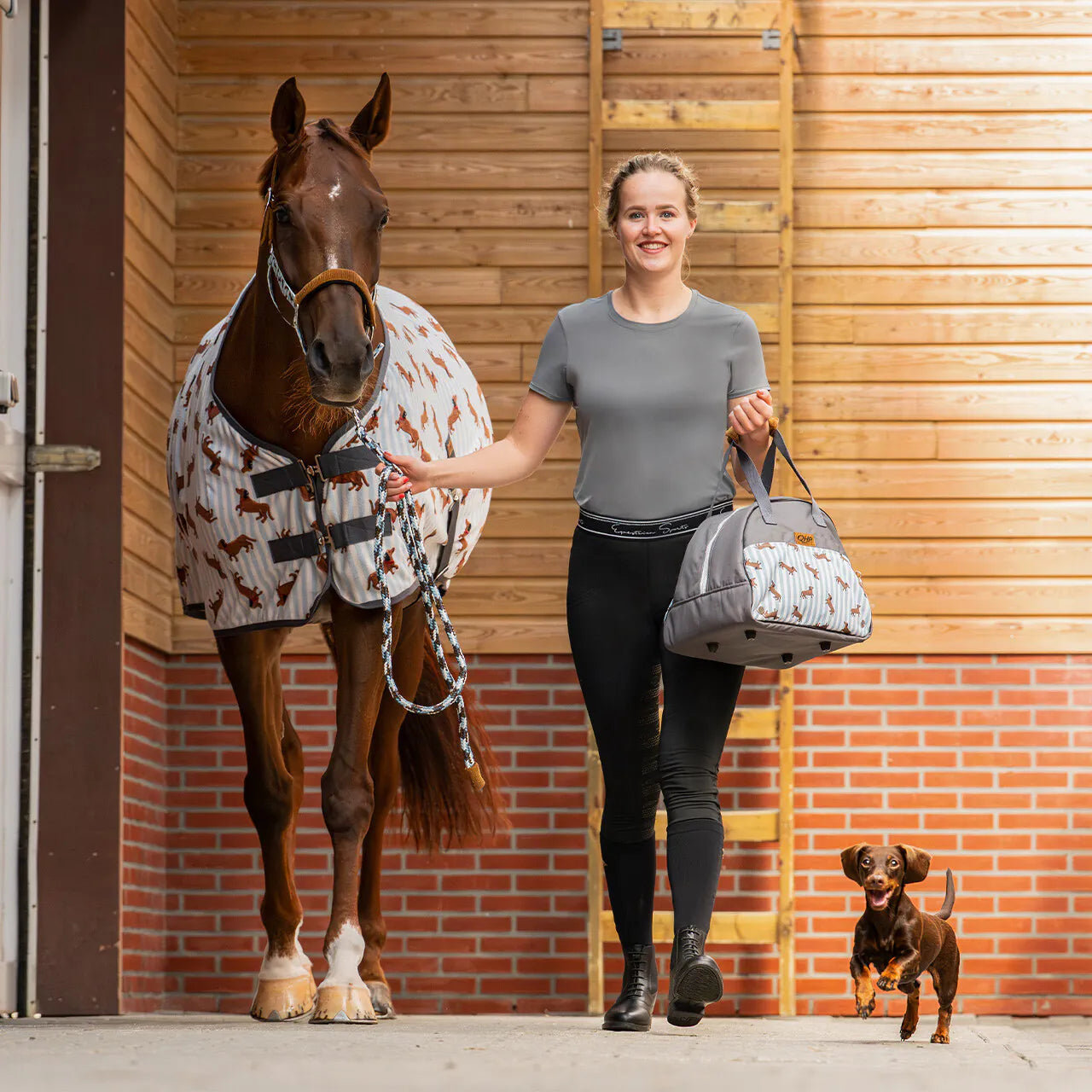 bolsa para casco Stable Buddy QHP para equitación - vista 4