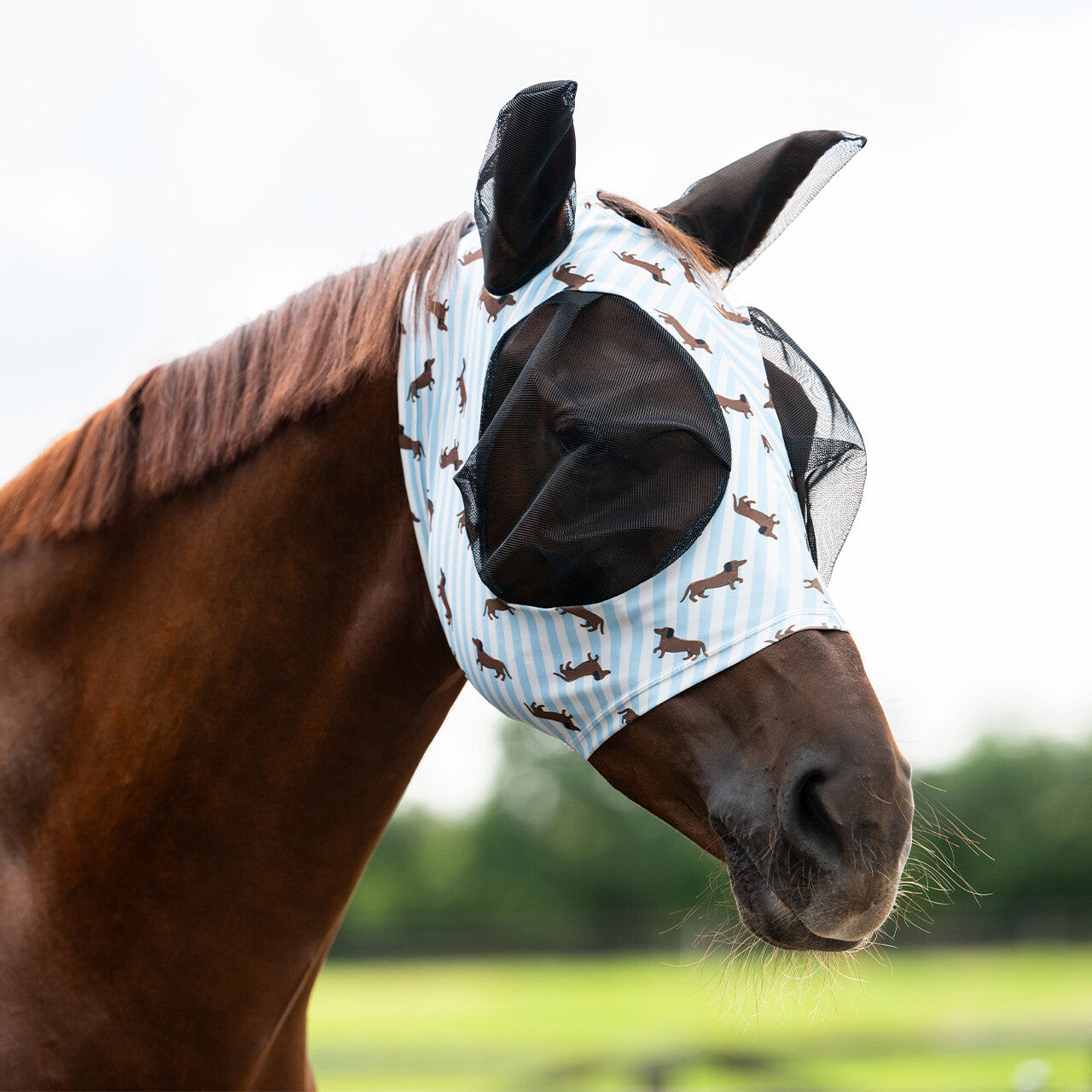 Máscara antimoscas Super bug Stable buddy QHP para equitación - vista 5