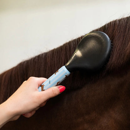 Grooming set Stable buddy QHP para equitación - vista 8