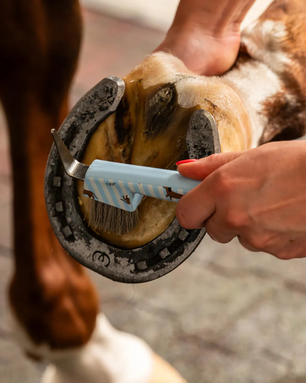 Grooming set Stable buddy QHP para equitación - vista 16