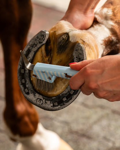 Grooming set Stable buddy QHP para equitación - vista 29