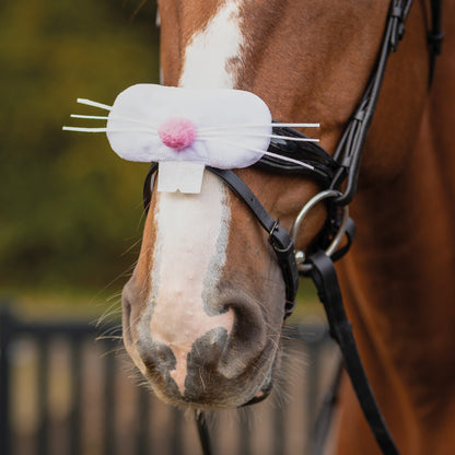 Cabezadas muserola accessory Easter QHP para equitación - vista 7