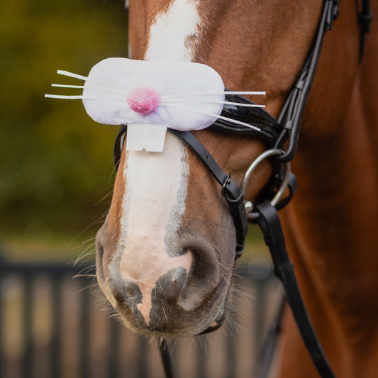 Cabezadas muserola accessory Easter QHP para equitación