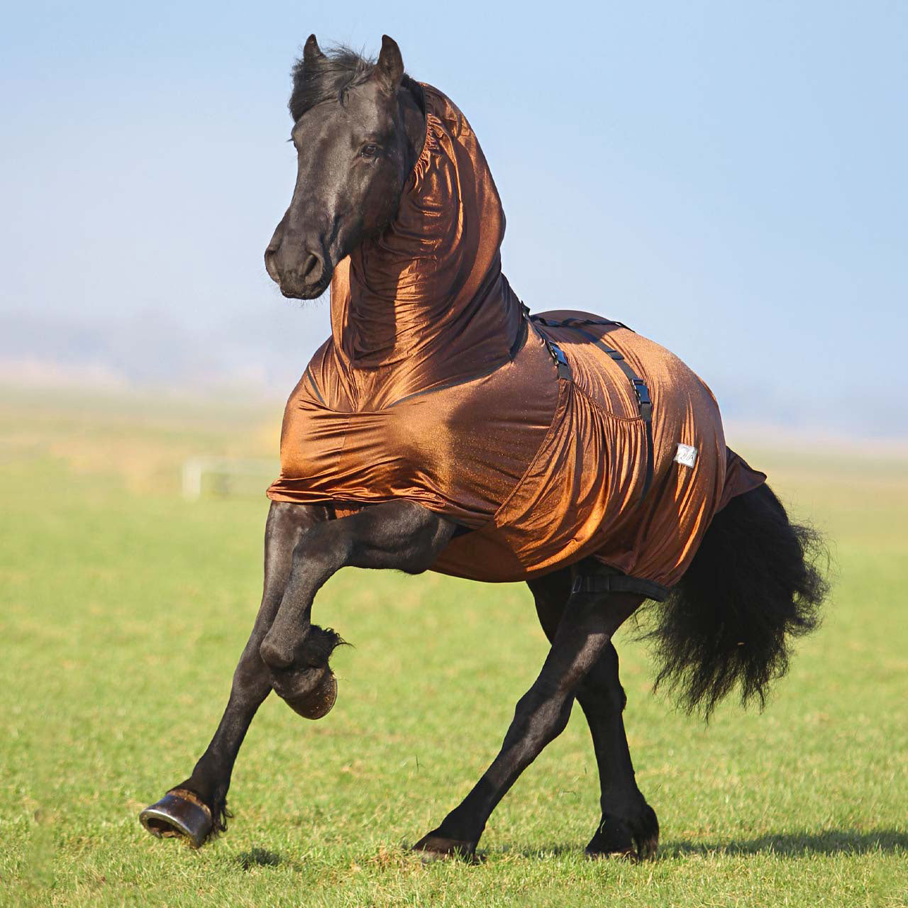 Mantas exteriores Eczema rug Big neck QHP para equitación - vista 16