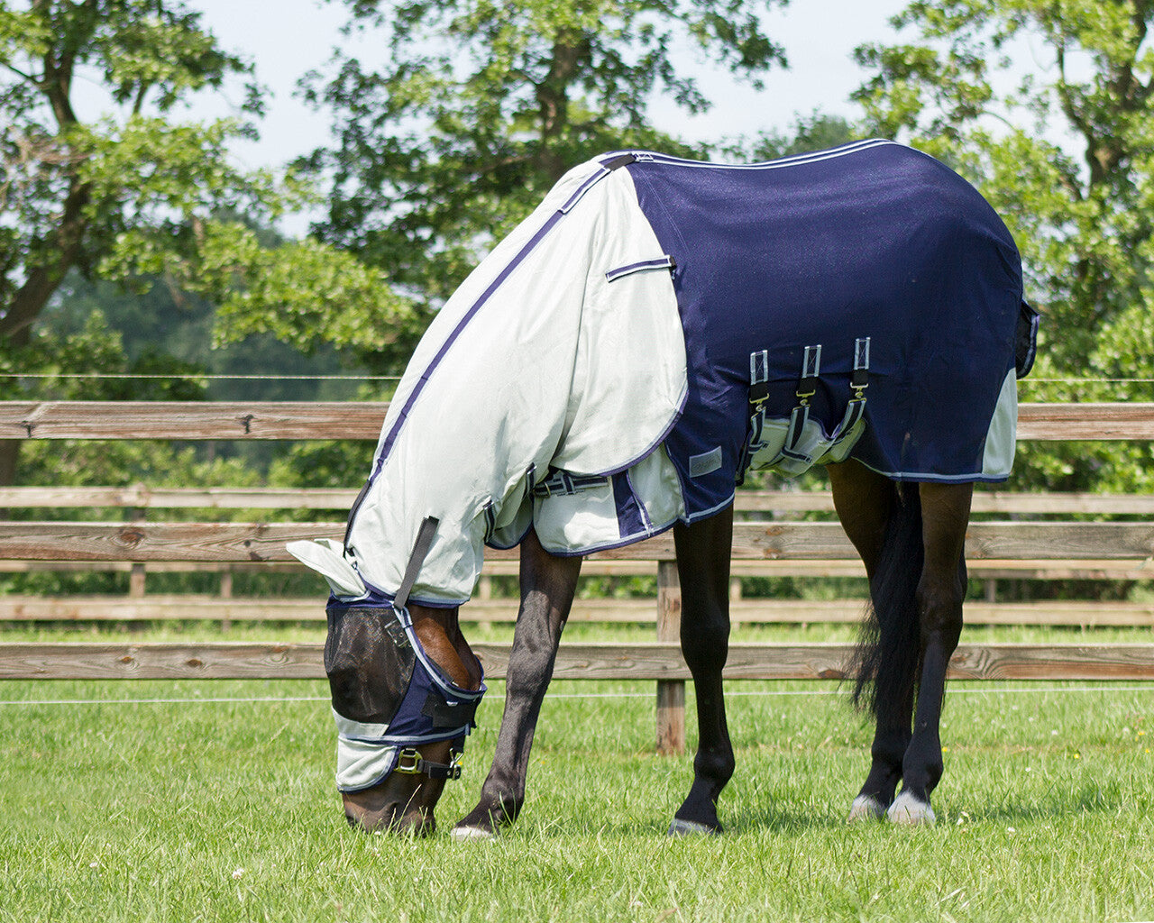 Mantas exteriores Fly rug con desmontable neck y mask QHP para equitación - vista 23