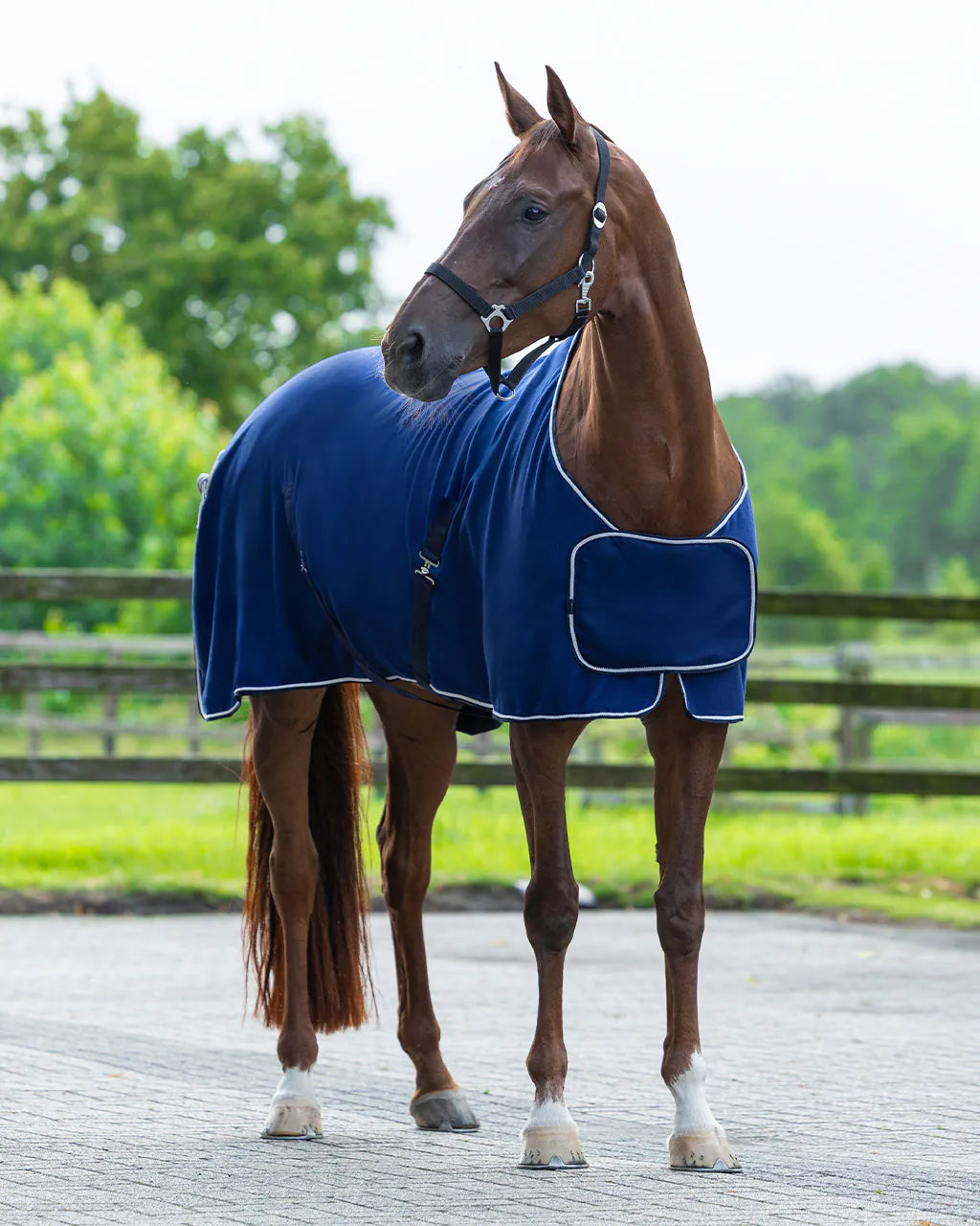 Mantas exteriores forro polar rug con ornament QHP para equitación - vista 12