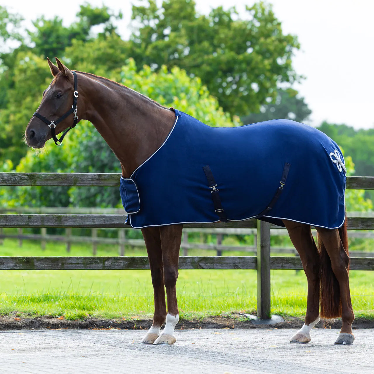 Mantas exteriores forro polar rug con ornament QHP para equitación - vista 16