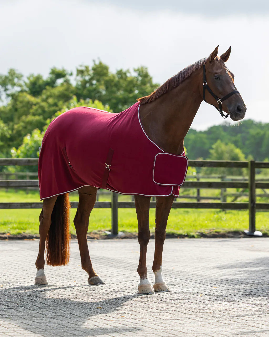 Mantas exteriores forro polar rug con ornament QHP para equitación - vista 18
