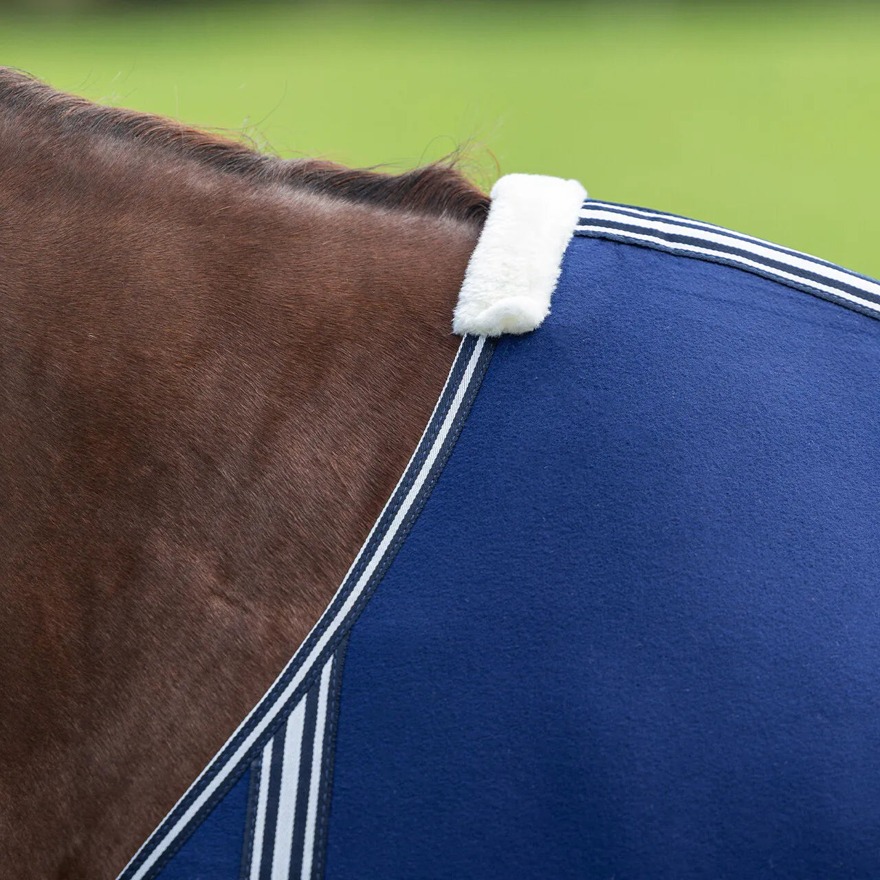 Mantas exteriores forro polar rug Basic sin correas cruzadas QHP para equitación - vista 4
