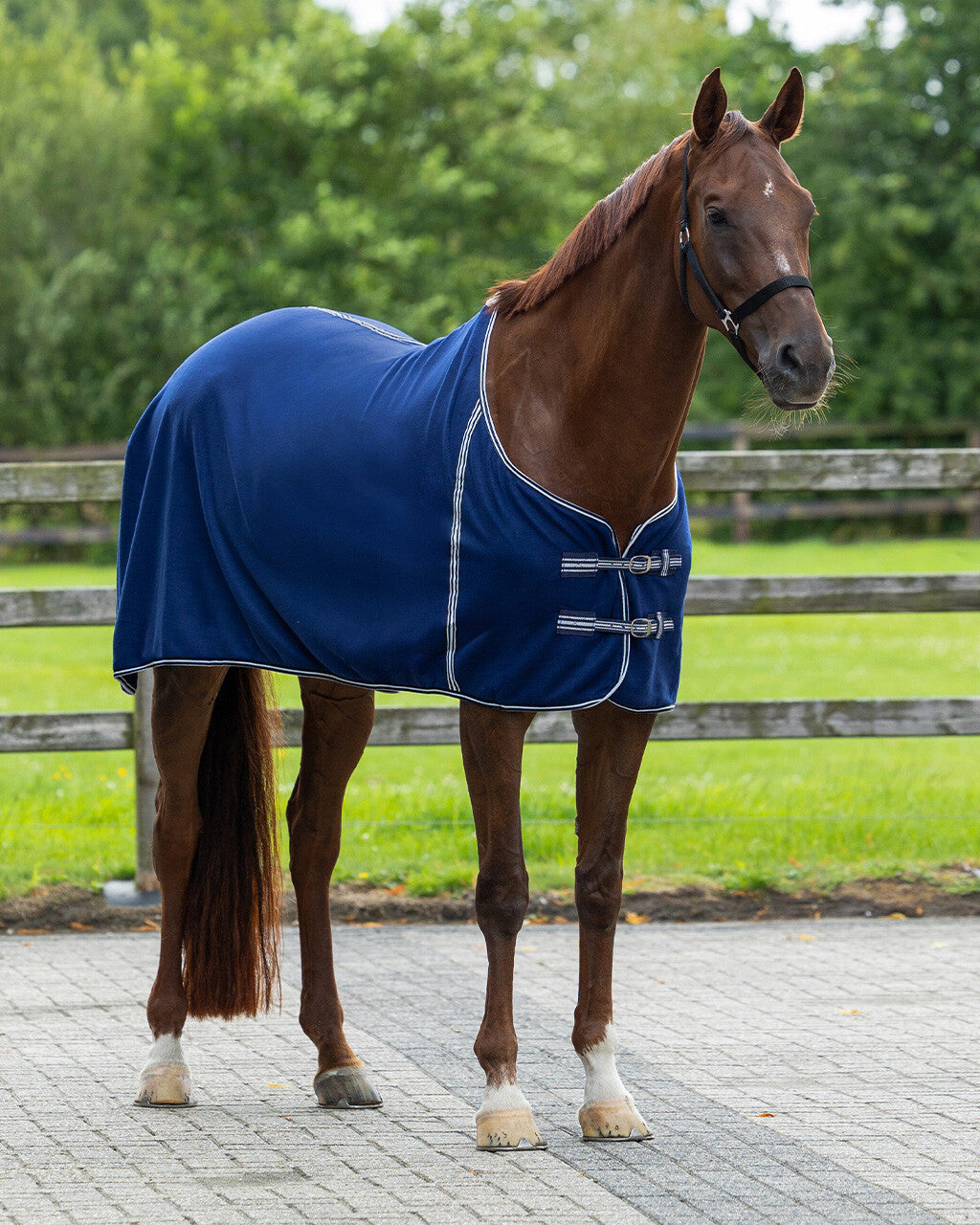Mantas exteriores forro polar rug Basic sin correas cruzadas QHP para equitación - vista 5