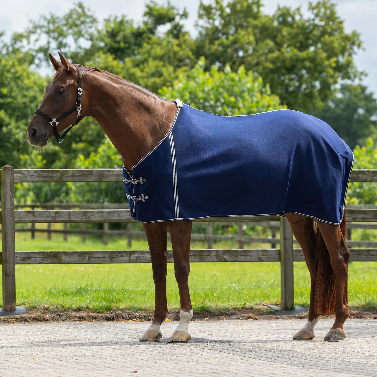 Mantas exteriores forro polar rug Basic sin correas cruzadas QHP para equitación - vista 8