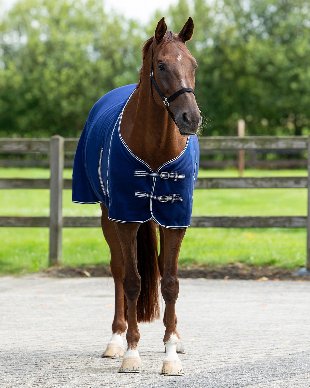 Mantas exteriores forro polar rug basic con correas cruzadas QHP para equitación - vista 25