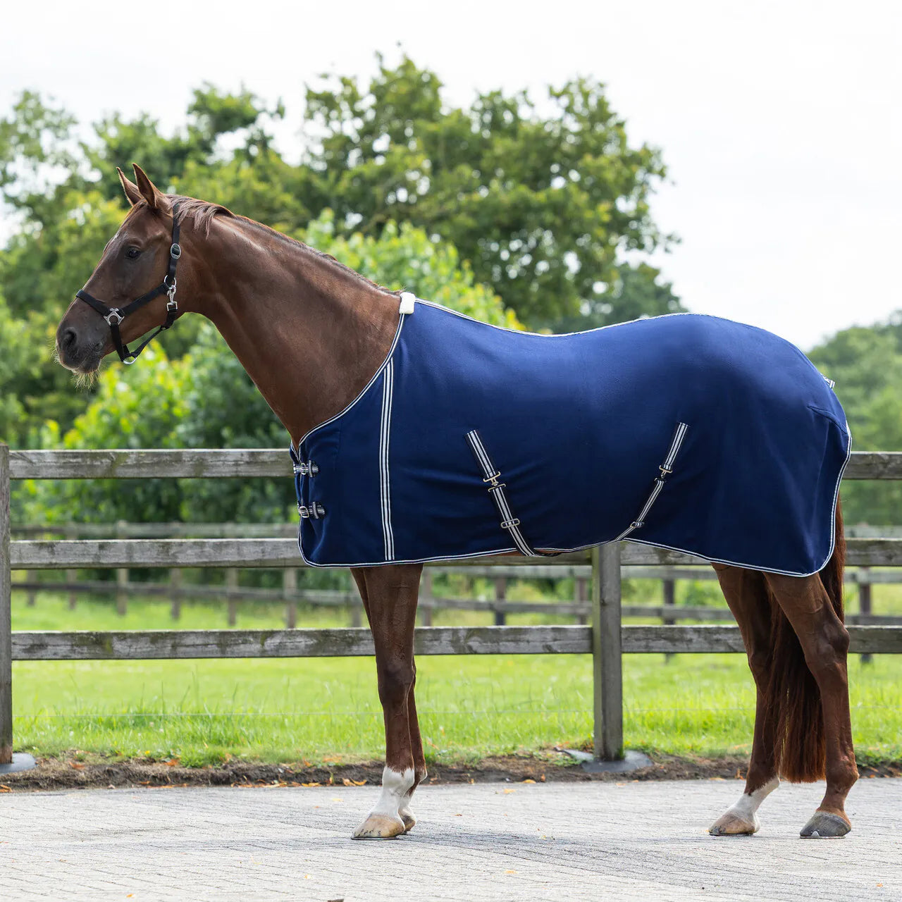 Mantas exteriores forro polar rug basic con correas cruzadas QHP para equitación - vista 10