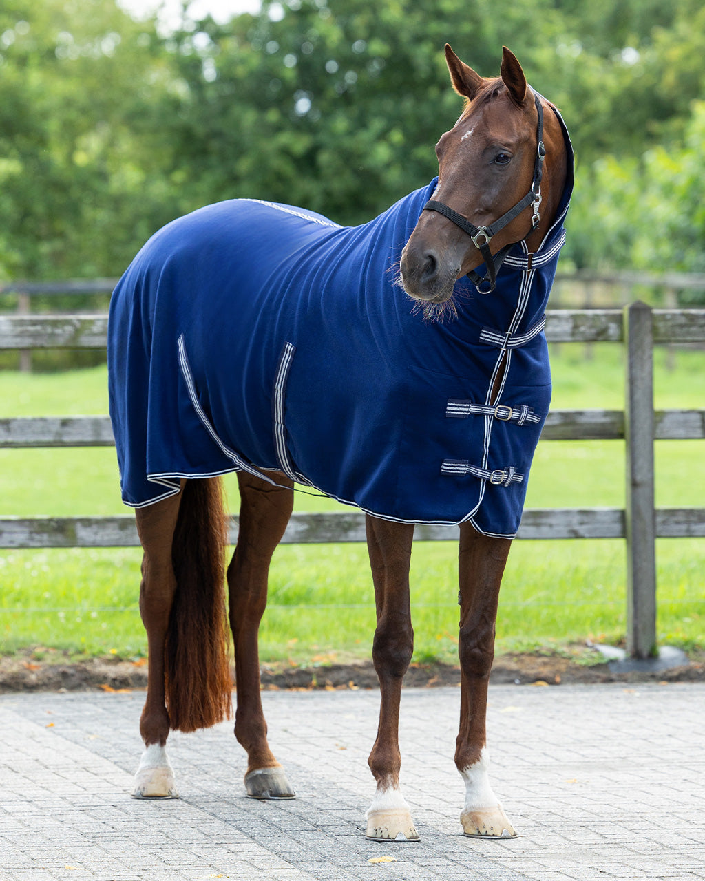 Mantas exteriores forro polar rug basic con neck QHP para equitación - vista 19
