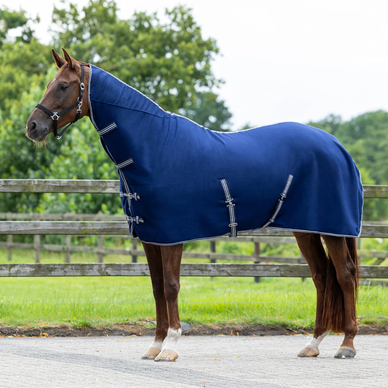 Mantas exteriores forro polar rug basic con neck QHP para equitación - vista 10