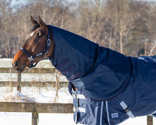 Mantas exteriores Neck turnout 200gr QHP para equitación - vista 2