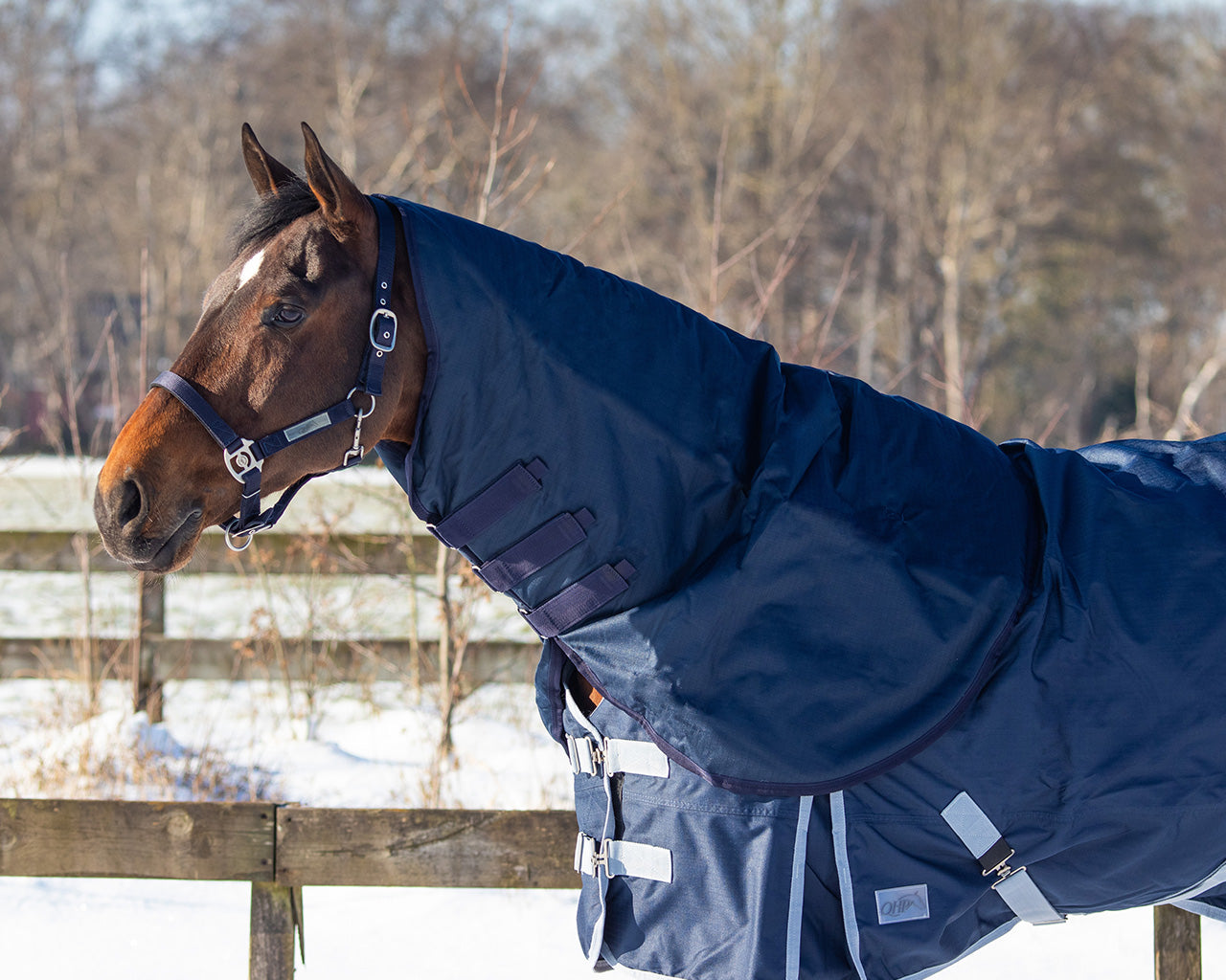 Mantas exteriores Neck turnout 200gr QHP para equitación - vista 24