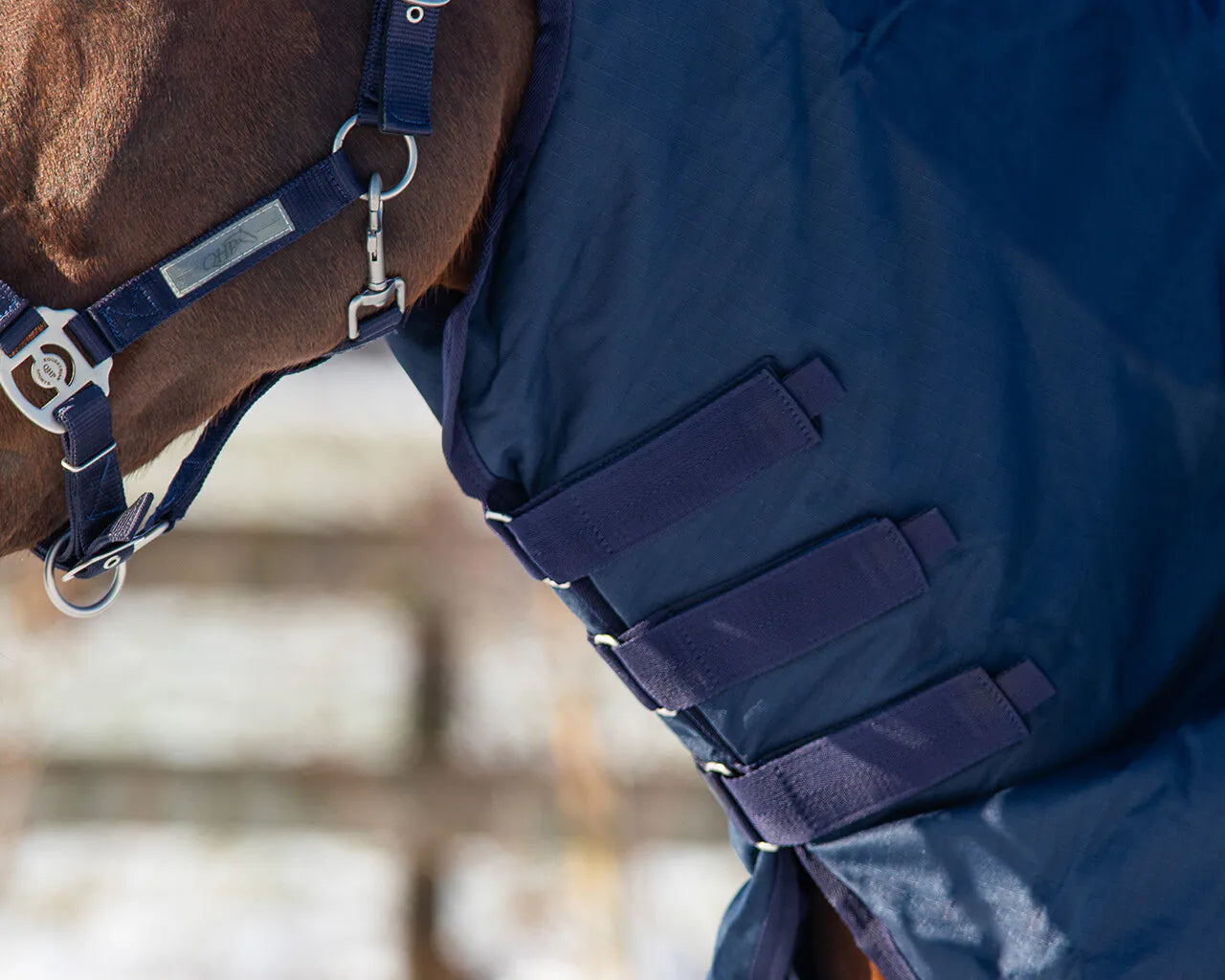 Mantas exteriores Neck turnout 200gr QHP para equitación - vista 4