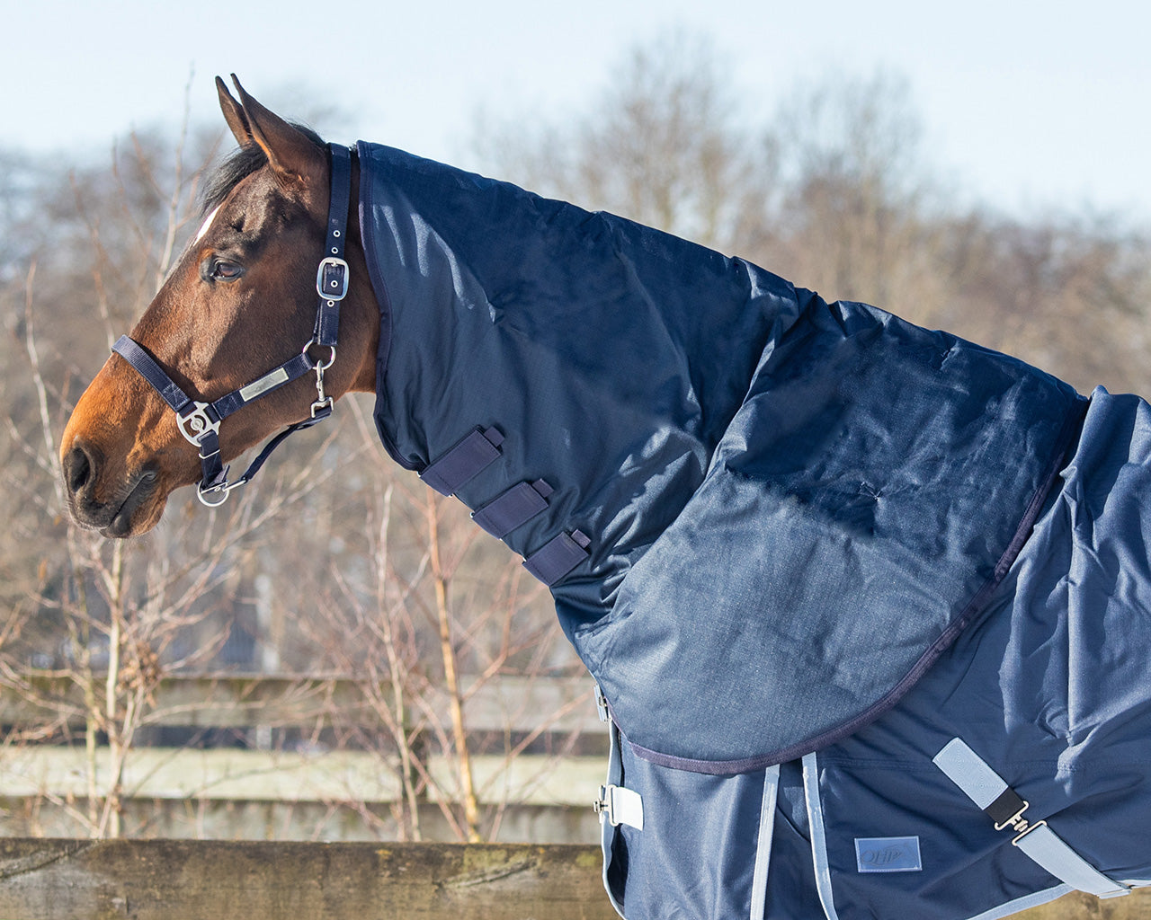 Mantas exteriores Neck turnout 200gr QHP para equitación - vista 31