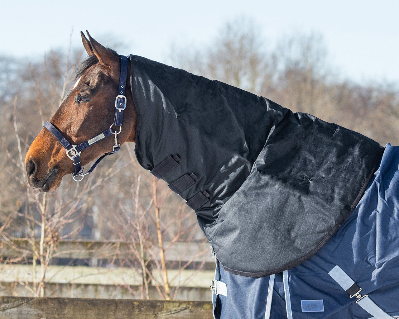 Mantas exteriores Neck turnout 200gr QHP para equitación - vista 13