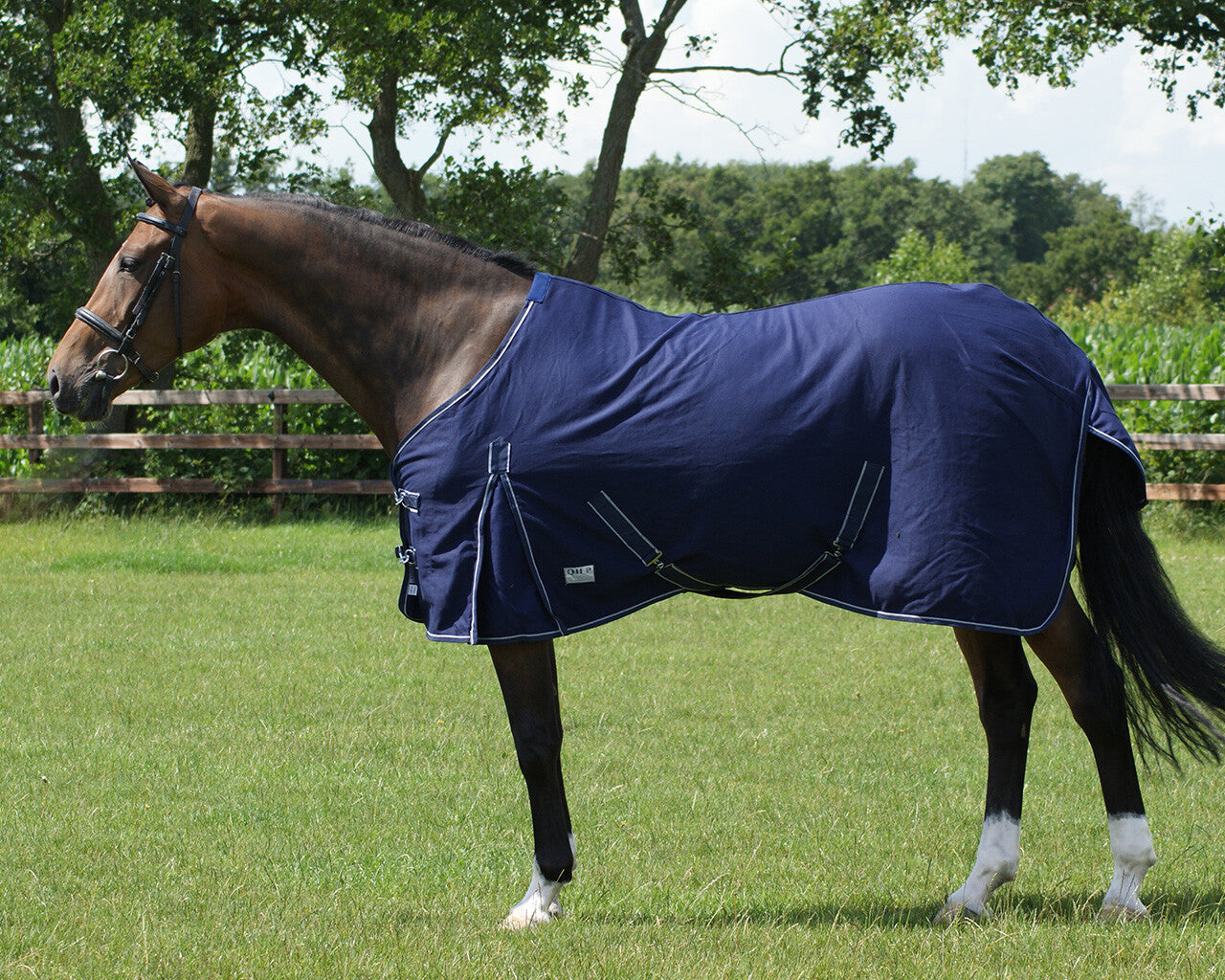 Mantas exteriores QHP summer rug para equitación - vista 6