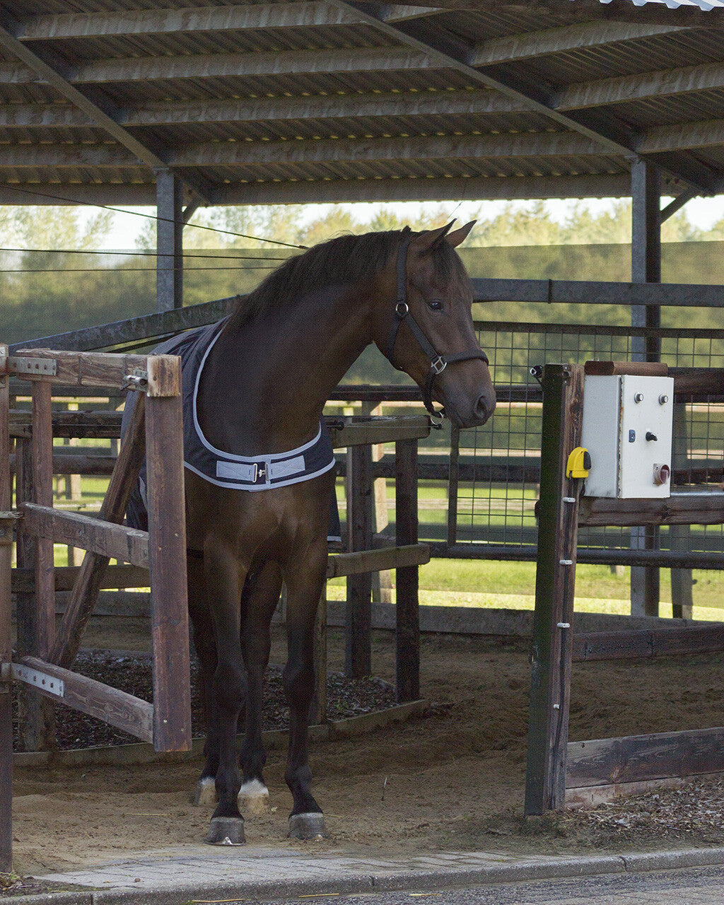 Mantas exteriores Walker rug impermeable 200gr QHP para equitación - vista 14