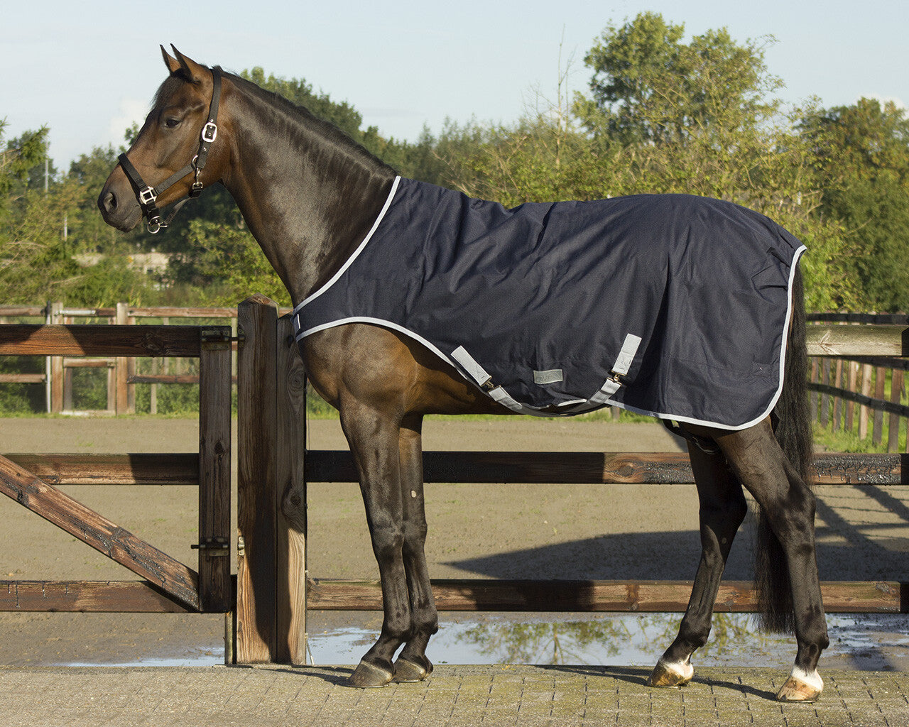 Mantas exteriores Walker rug impermeable 200gr QHP para equitación - vista 9