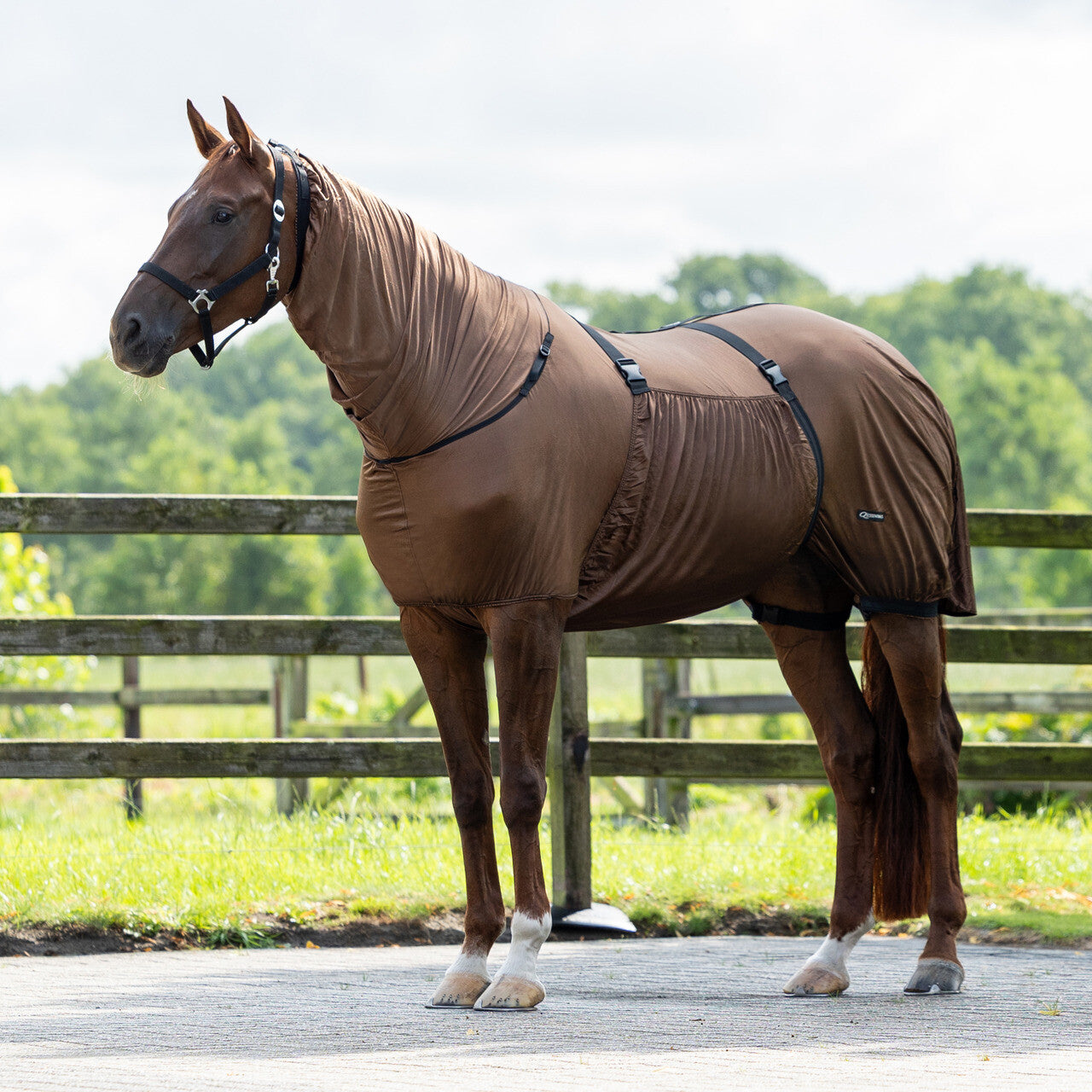 Mantas exteriores Eczema rug QHP para equitación - vista 13
