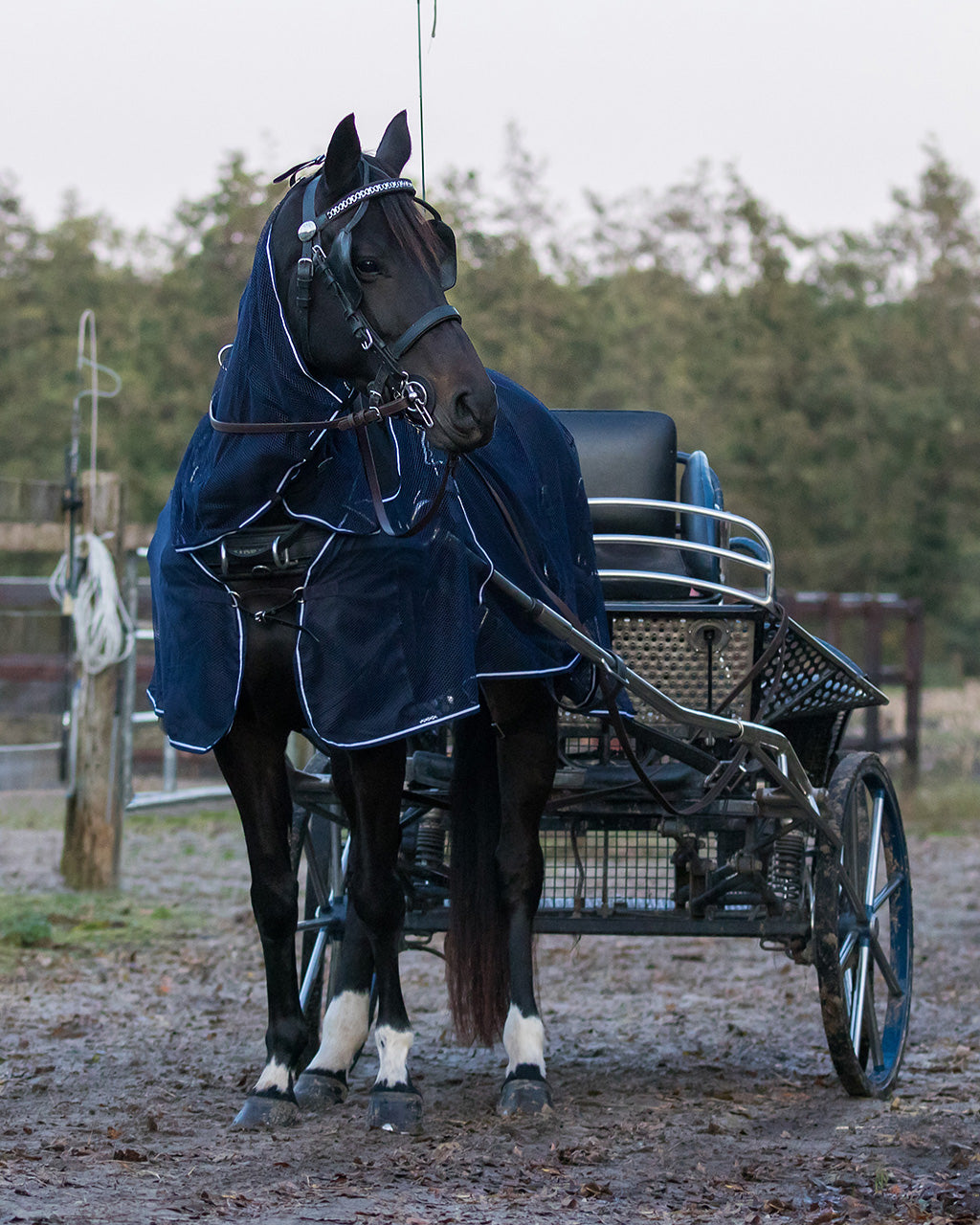 Mantas exteriores Driving fly rug con neck QHP para equitación - vista 3