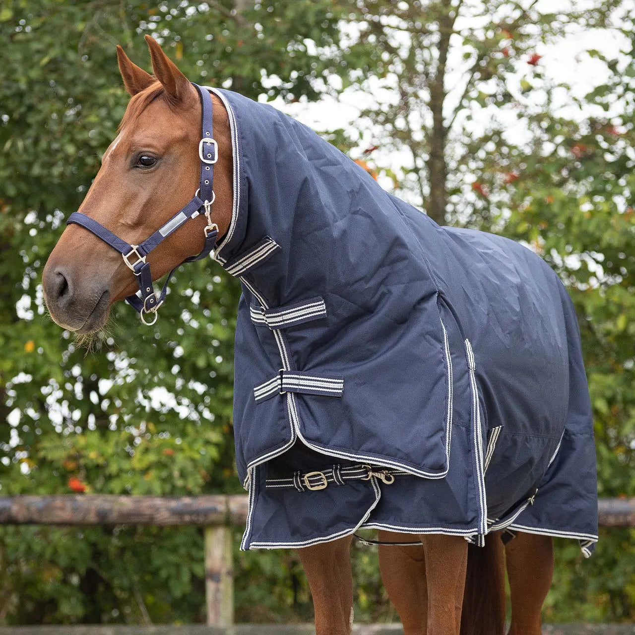 Mantas exteriores Turnout rug 600D con neck 300gr QHP para equitación - vista 14