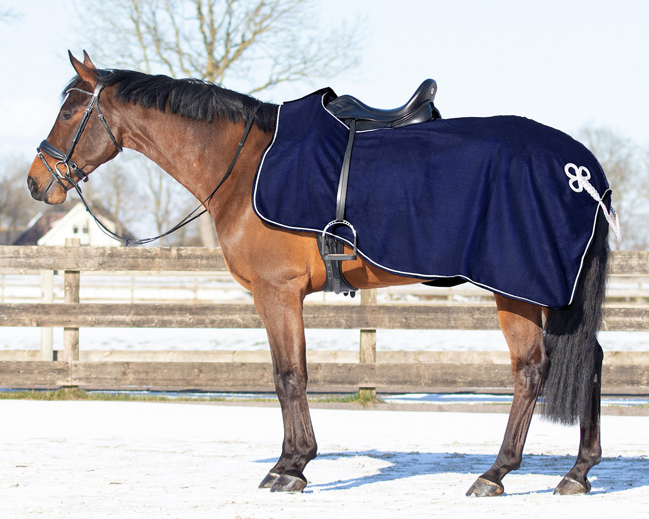 Manta caballo Exercise rug forro polar ornament QHP