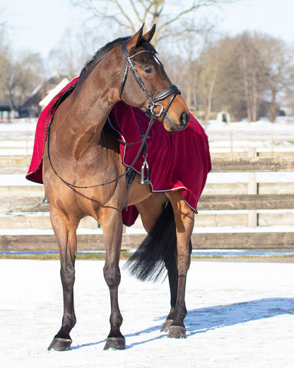 Manta caballo Exercise rug forro polar ornament QHP