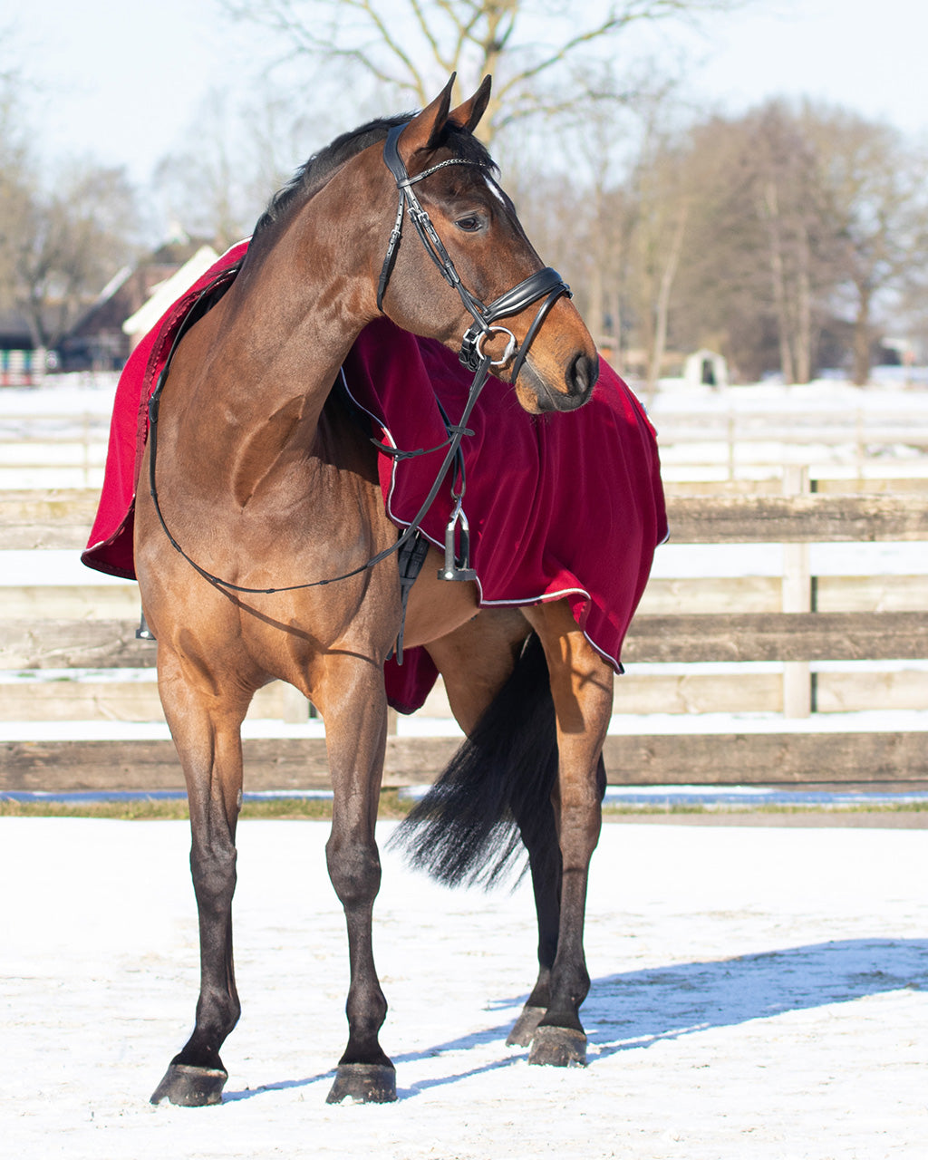 Manta caballo Exercise rug forro polar ornament QHP