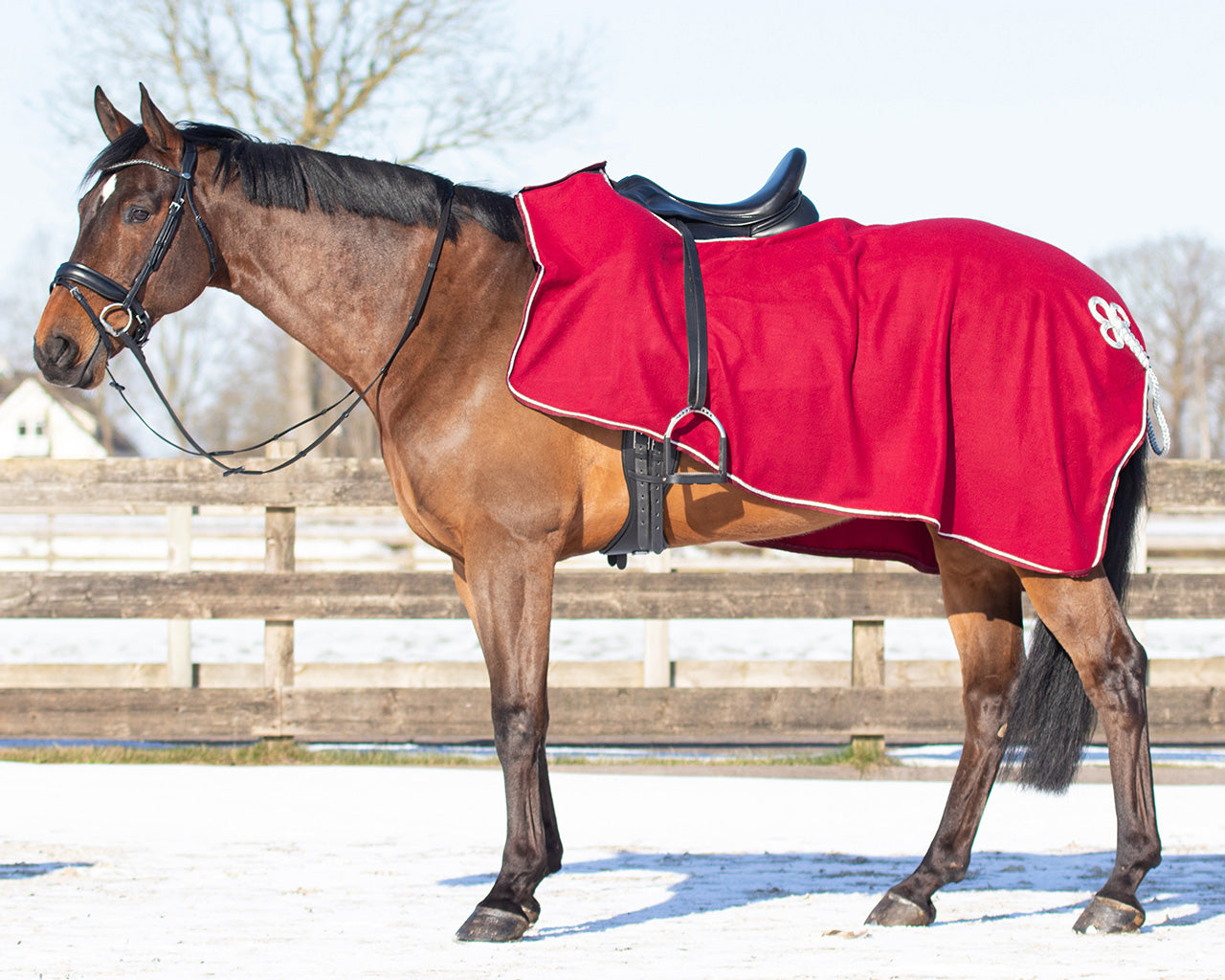 Manta caballo Exercise rug forro polar ornament QHP