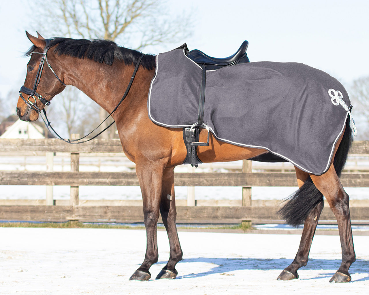 Manta caballo Exercise rug forro polar ornament QHP