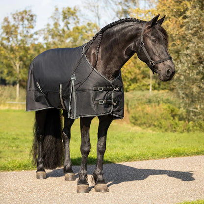 Mantas exteriores Turnout rug Big neck 300gr QHP para equitación - vista 6
