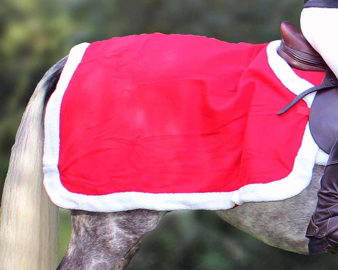 Mantas exteriores Christmas Exercise Sheet QHP para equitación - vista 7