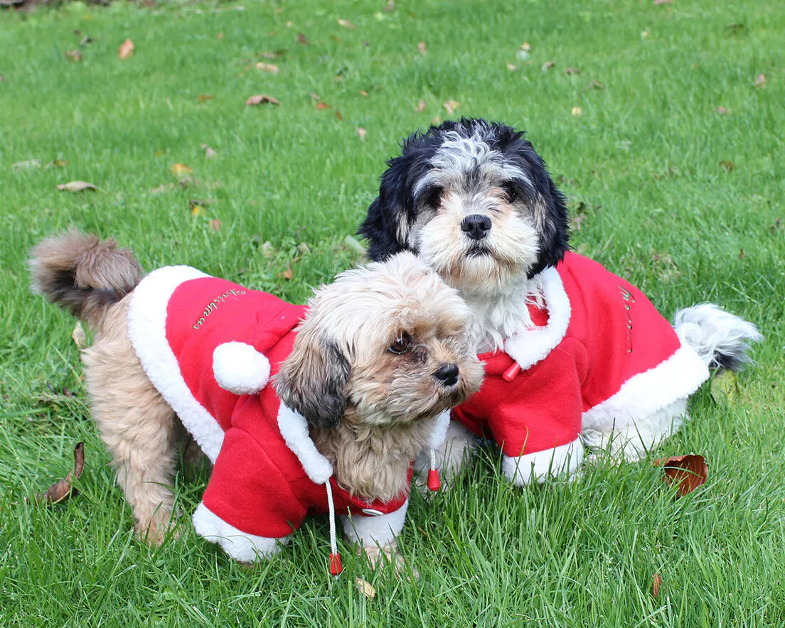 Producto perro Christmas dog coat QHP para equitación - vista 4