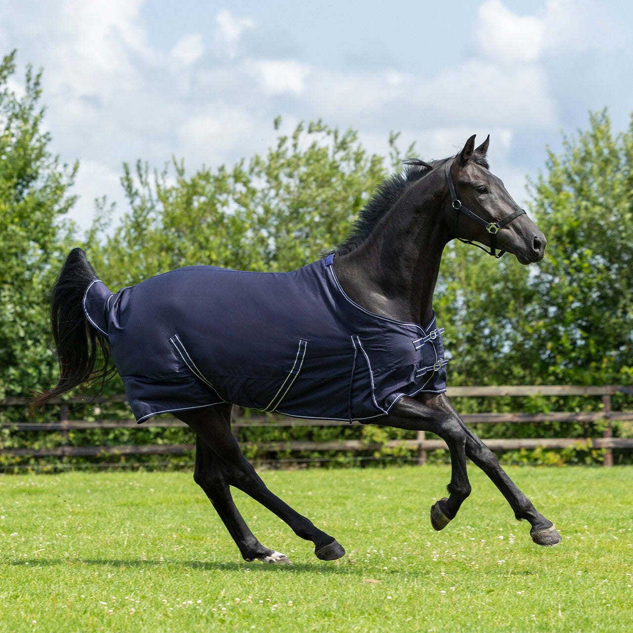 Mantas exteriores Summer rug basic QHP para equitación - vista 40