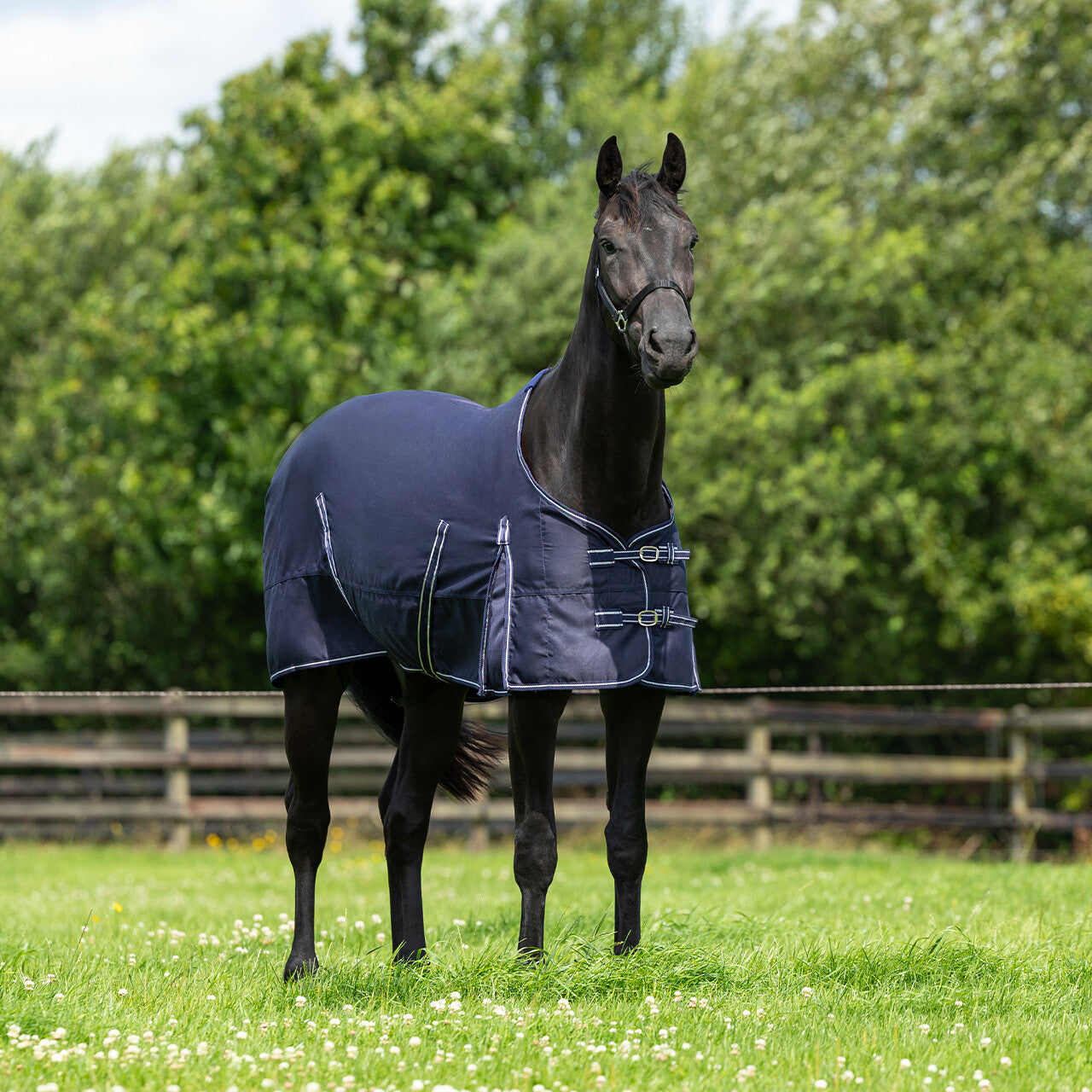 Mantas exteriores Summer rug basic QHP para equitación - vista 41