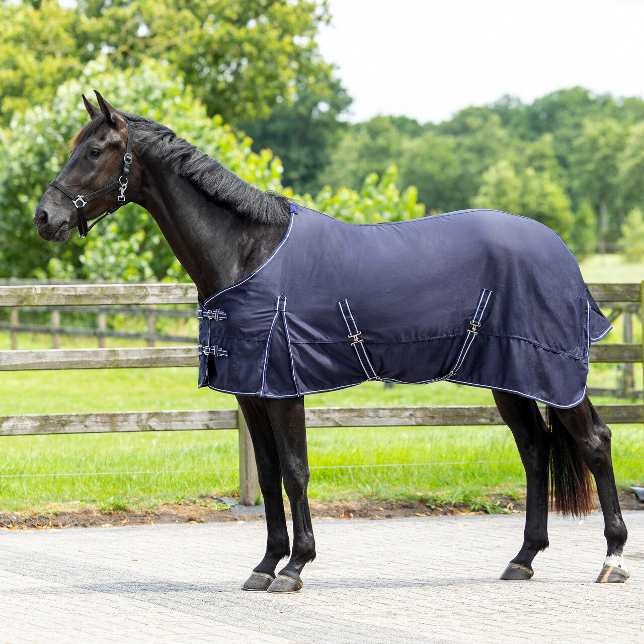 Mantas exteriores Summer rug basic QHP para equitación - vista 17