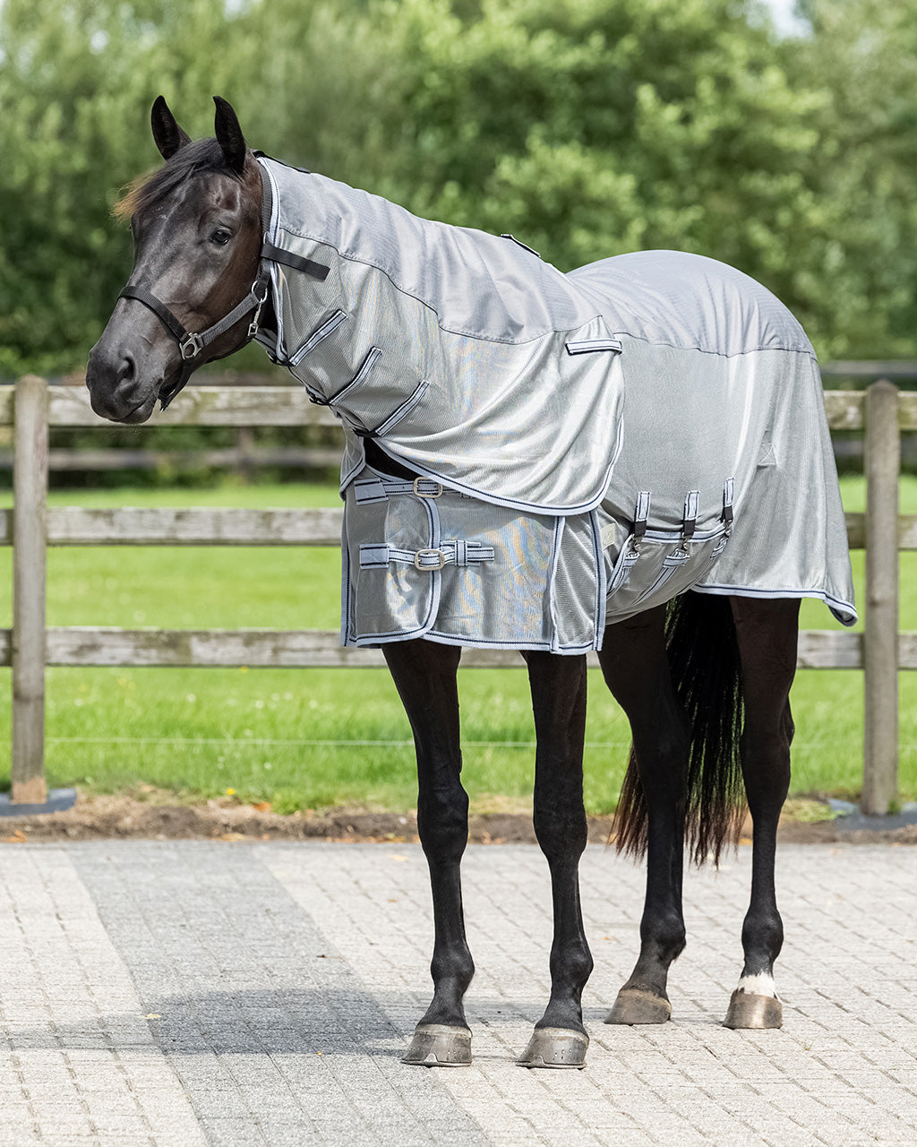 Mantas exteriores Fly rug Combo con neck QHP para equitación - vista 31
