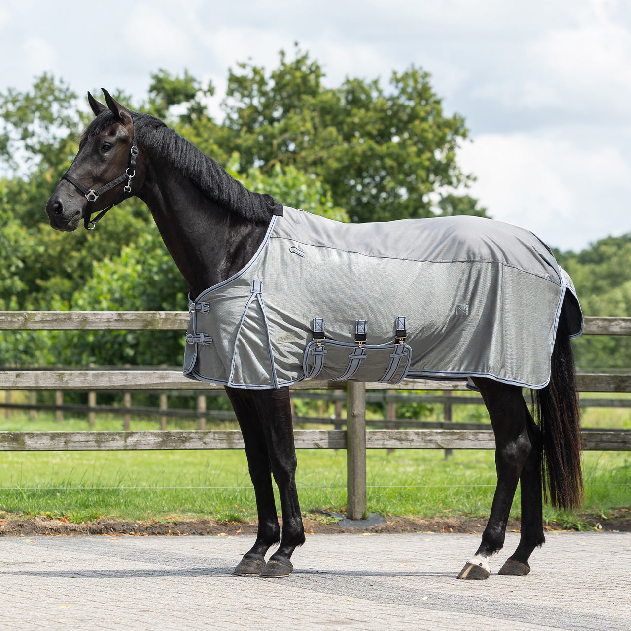 Mantas exteriores Fly rug Combo con neck QHP para equitación - vista 32