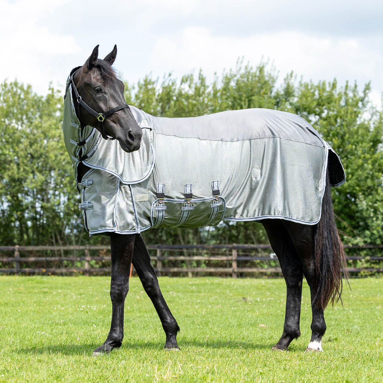 Mantas exteriores Fly rug Combo con neck QHP para equitación - vista 23