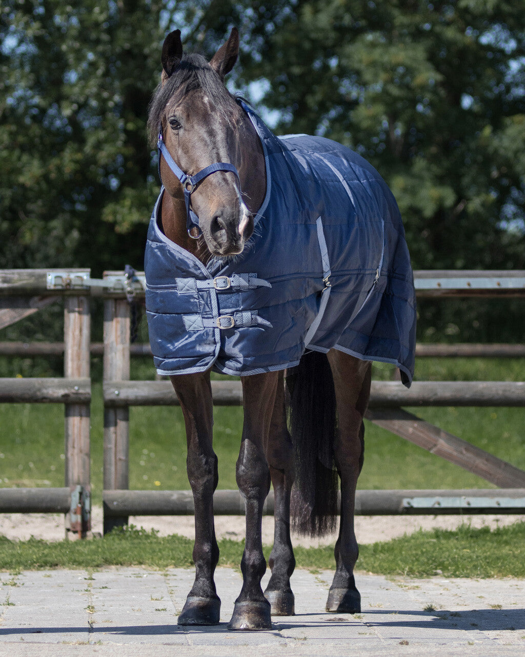 Manta caballo Stable rug Start 150gr QHP