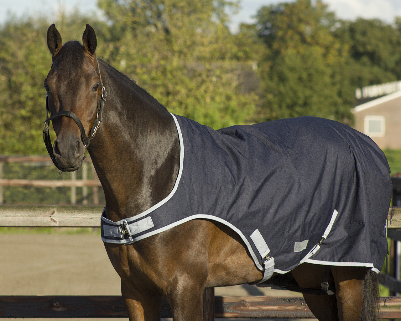 Mantas exteriores Walker rug impermeable 0gr QHP para equitación
