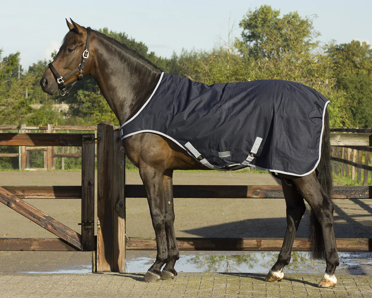 Mantas exteriores Walker rug impermeable 0gr QHP para equitación - vista 8