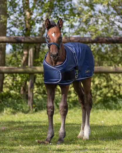 Mantas exteriores Potro rug turnout 100gr QHP para equitación - vista 5